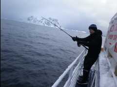 Cod Fishing16